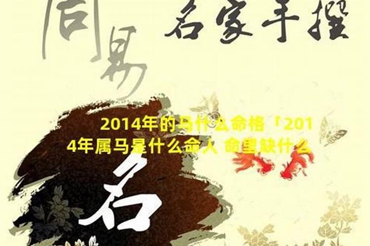 属马的适合取什么名字