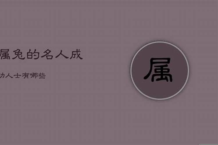 属兔的中国名人成功人士