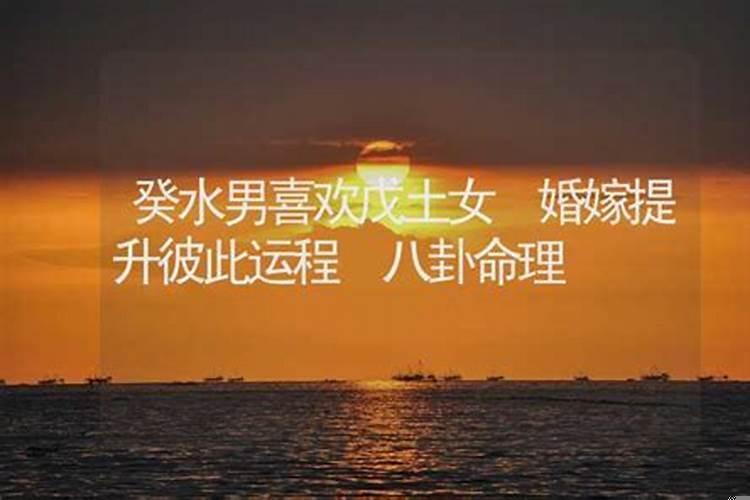 辛卯戊午婚配