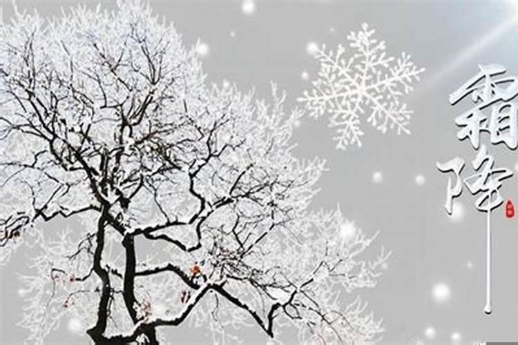 2025年是什么年吗