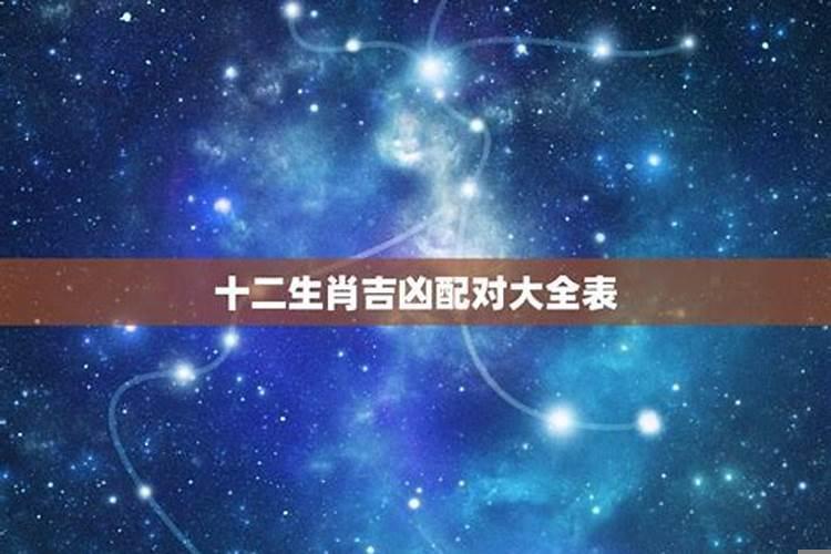生肖配对八字配对哪个准