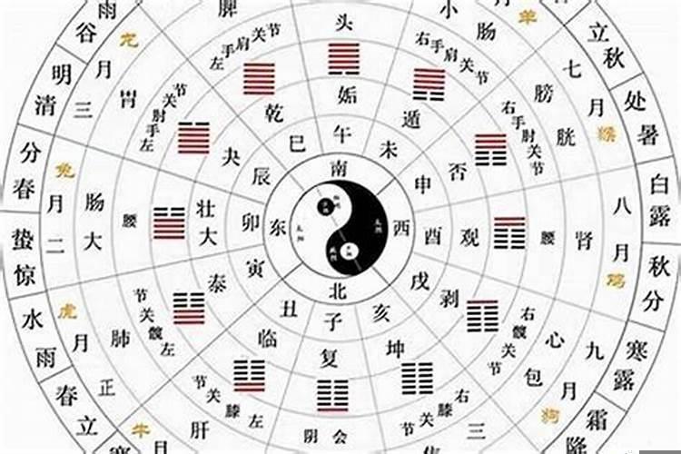天干定义地支的干支组合