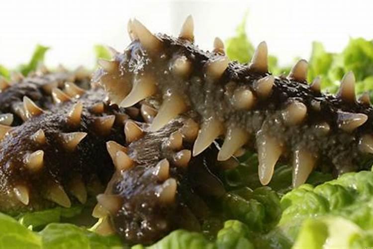 梦到抓海参是什么意思