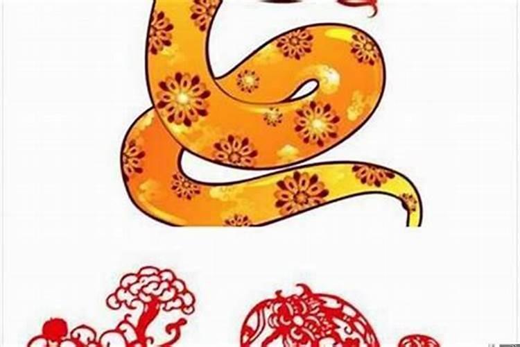属蛇跟属啥是最好的夫妻