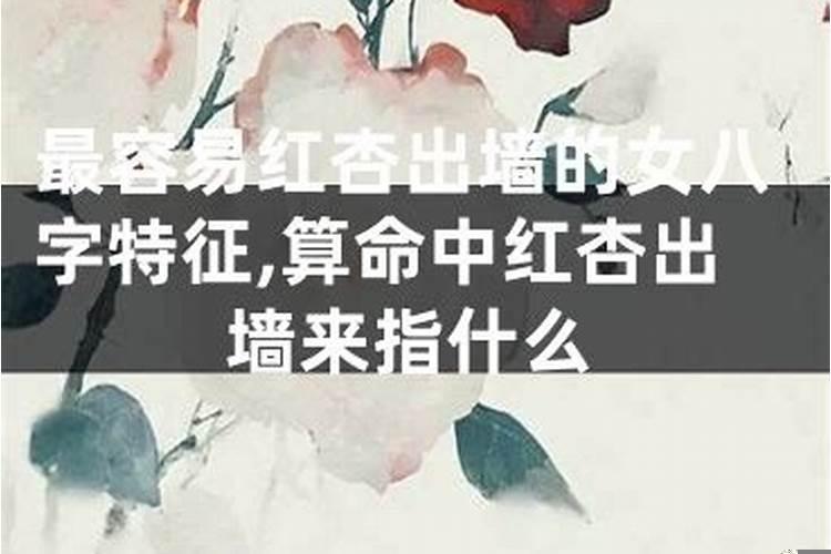 红杏出墙好吗