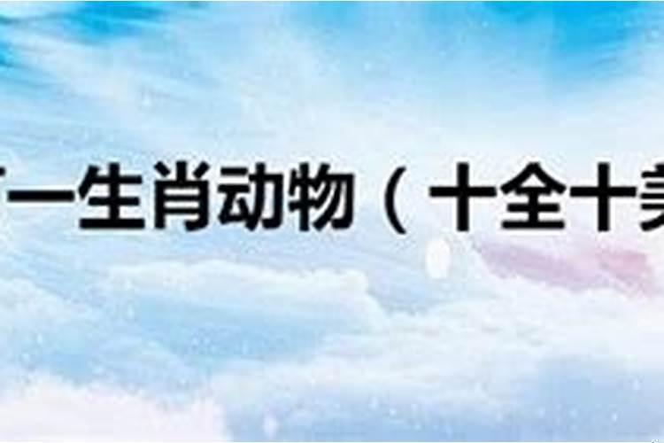 生气完全生气打一生肖