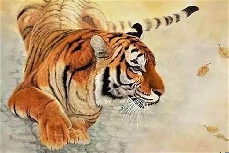 1998年属虎女的是什么命