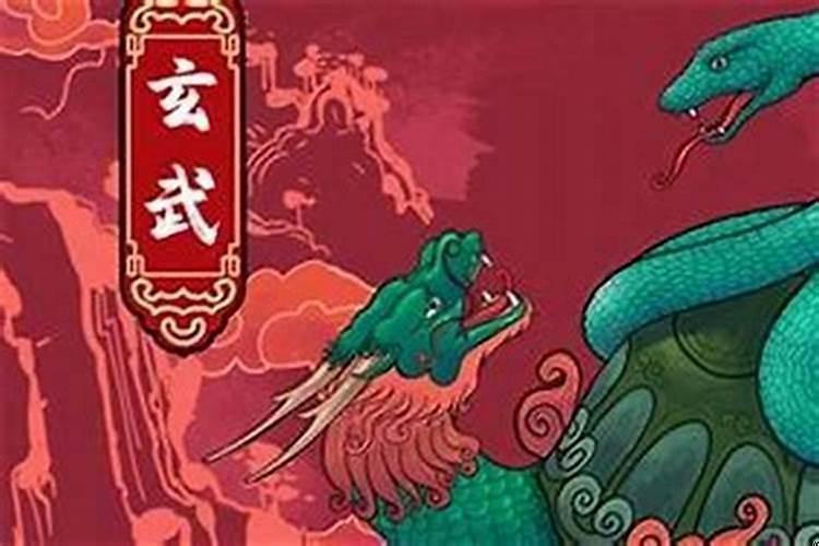 生肖运势解说属蛇人的贵人属相是谁