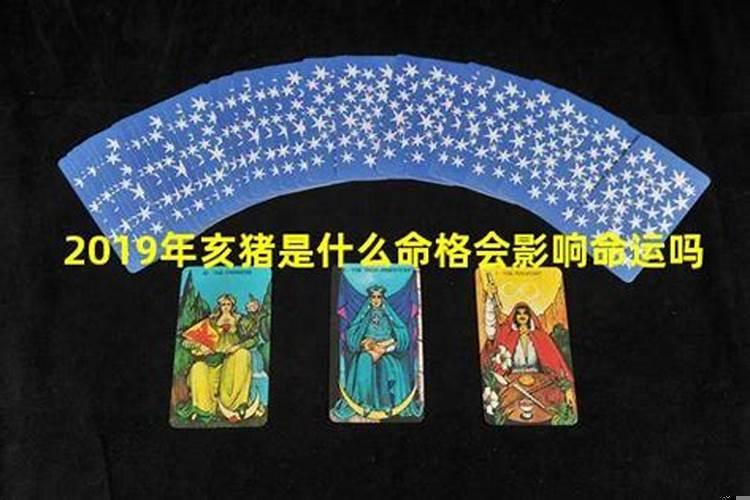 2019年属猪是什么土