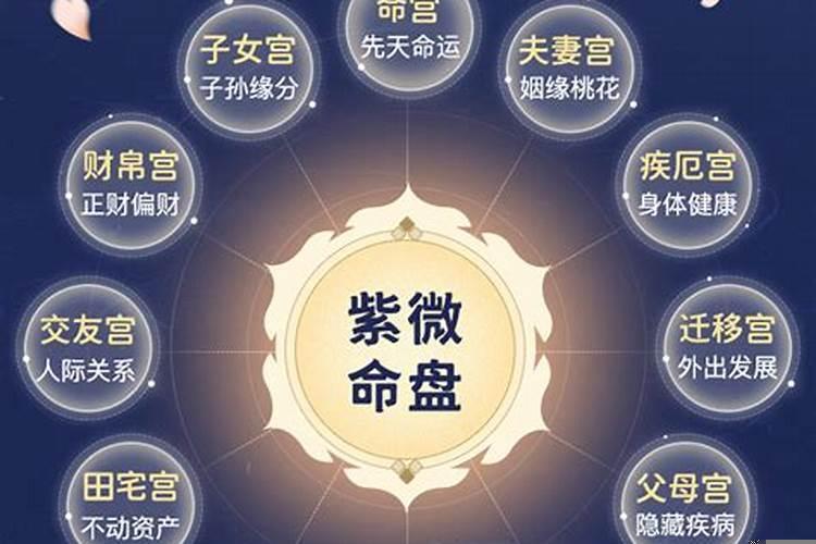 测算运势大全