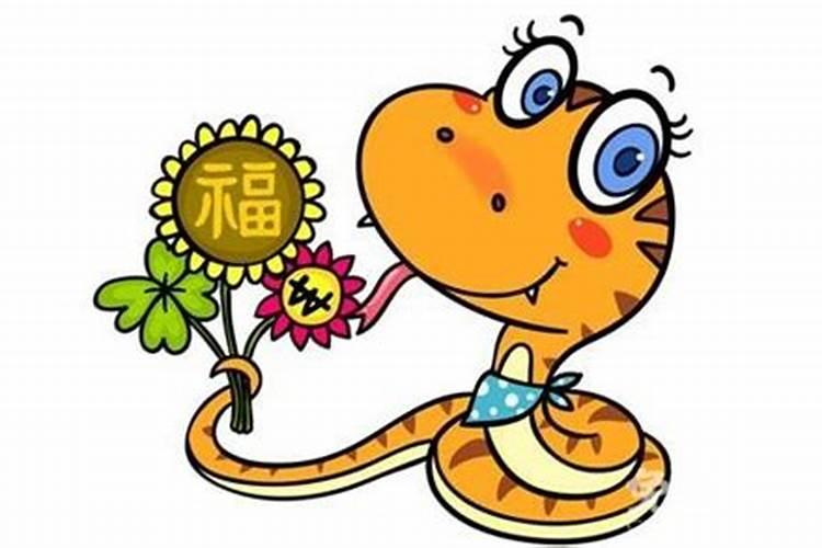 属蛇的人是什么性格能告诉我一下吗