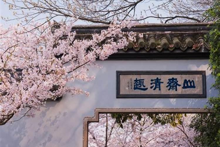 躲春可以睡觉吗可以玩手机吗