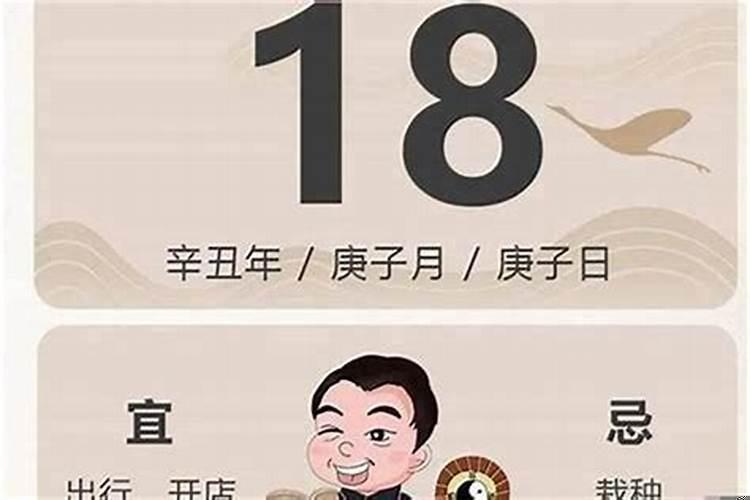 属羊人兔年运势如何