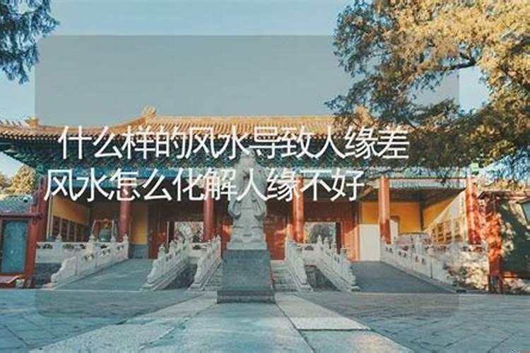 蛇缠门锁是好是坏