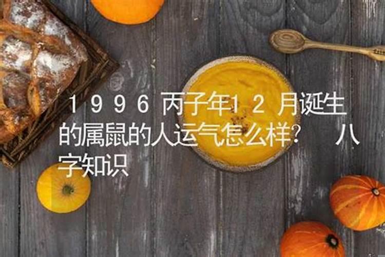 1996年丙子鼠命理