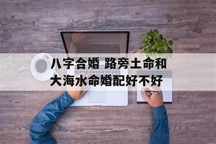 大海水命和路旁土命结合好吗