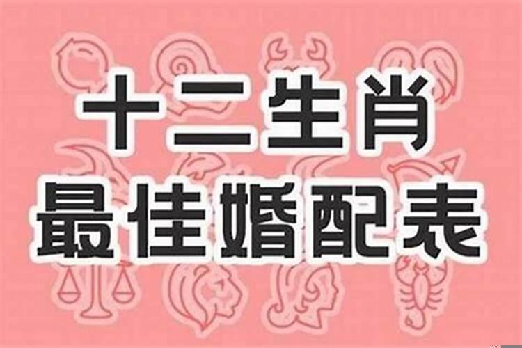 生肖虎和什么生肖最相配