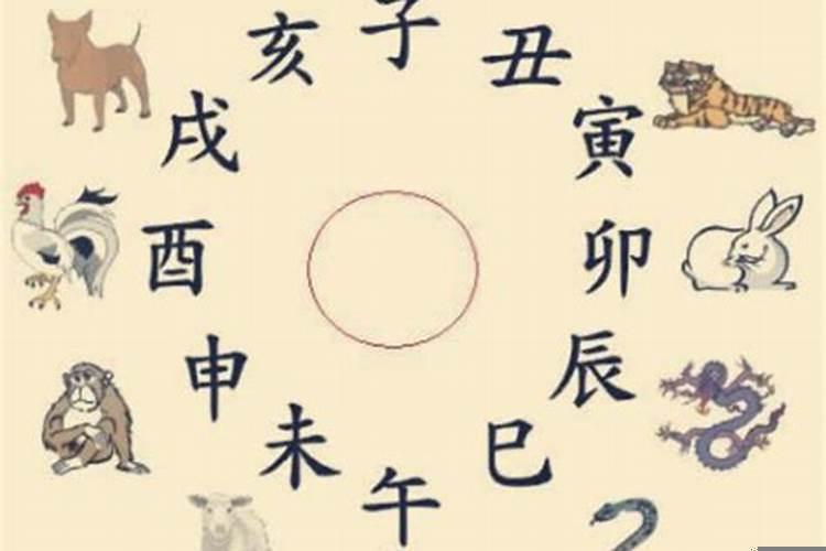 八字地支有戌