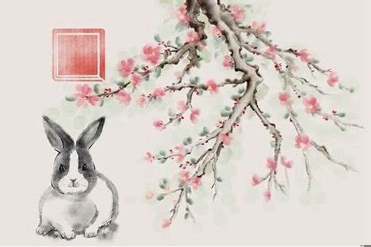 属兔有红鸾天喜在哪年