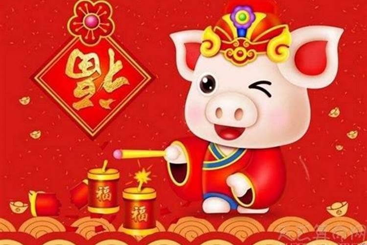 2019年属猪是什么土