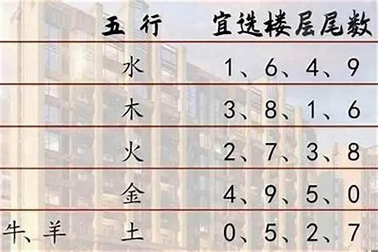 想问问属羊选楼层风水要注意哪些问题
