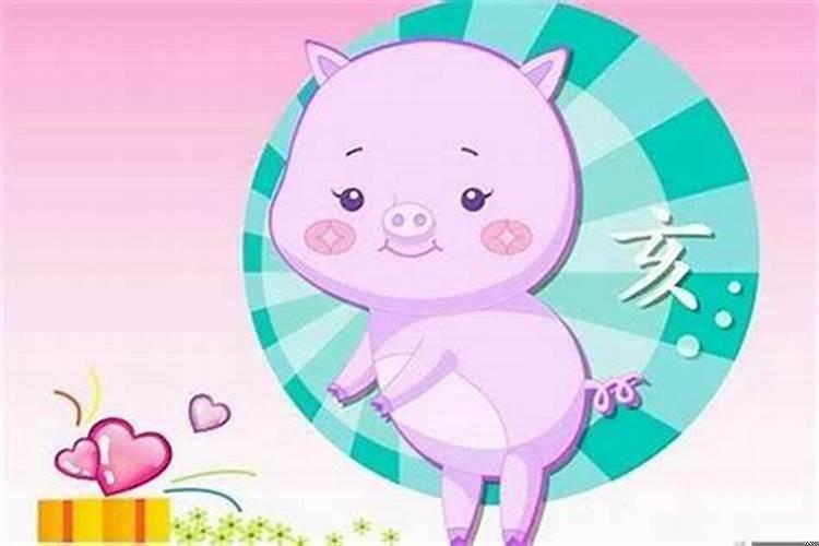 95属猪的女生和什么属相最配