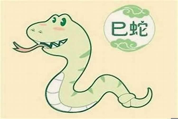 属蛇男适合找什么属相女的