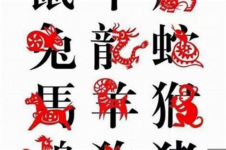 12生肖一生的劫数