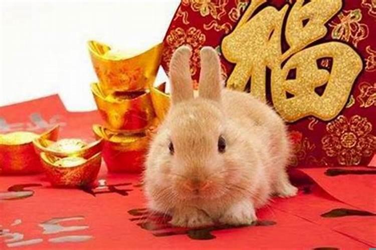 生肖兔的今年运势