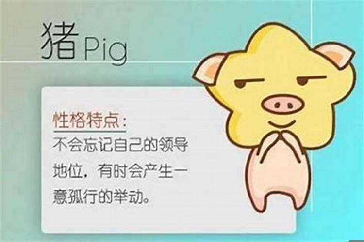 男95年属猪的姻缘在哪年