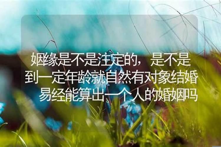 单身姻缘算命问什么