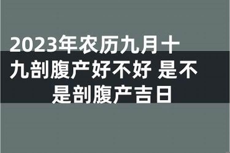 新房装修怎么择日子好
