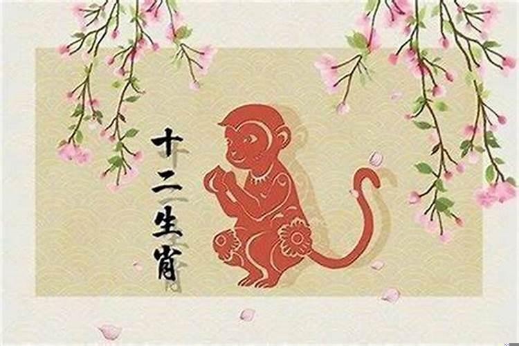 什么属相旺猴财运