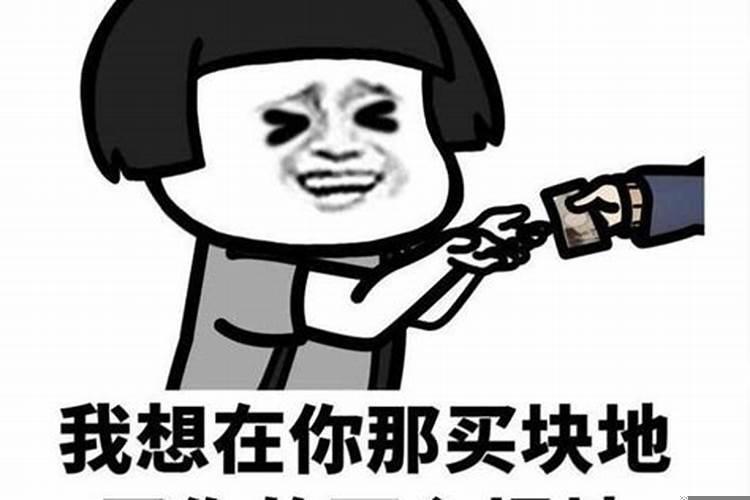 帮我算一下命土味情话