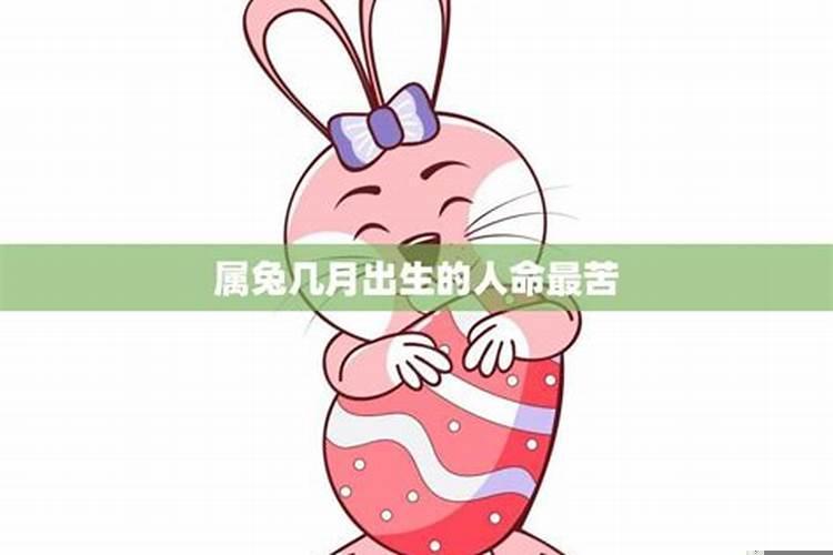 属兔几月出生的人命最苦