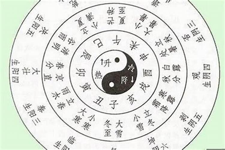 八字枭枭什么意思