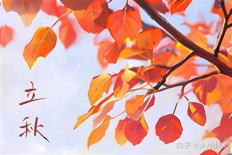 今年立秋分公秋和母秋吗