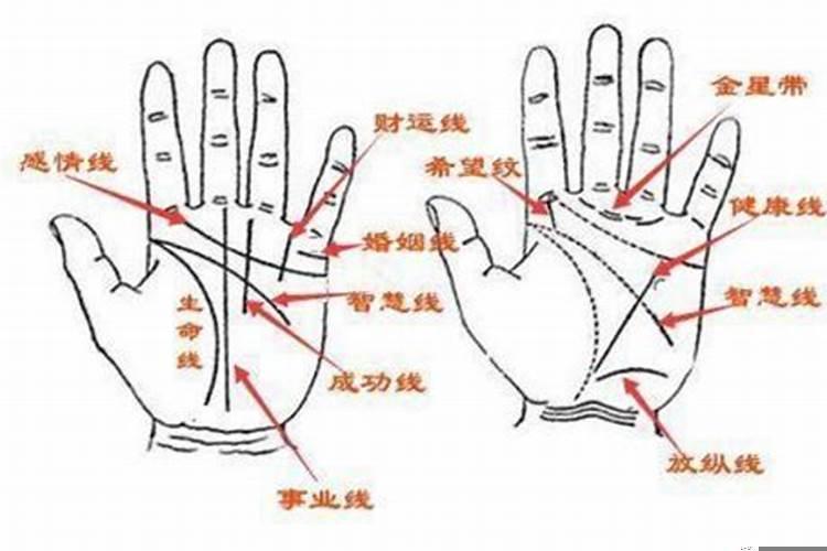 婚姻线怎么看几段姻缘