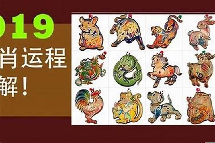 2009年运势12生肖运势