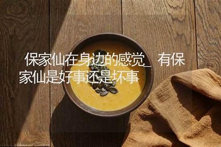 请完保家仙为什么总做梦