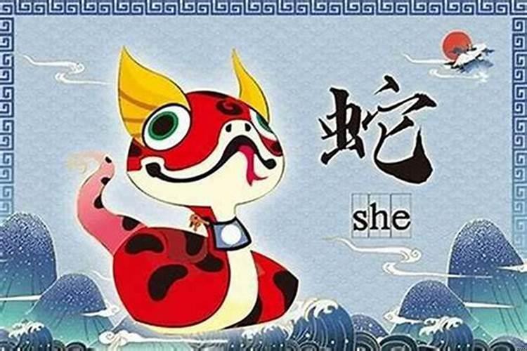 什么属相适合住的楼层