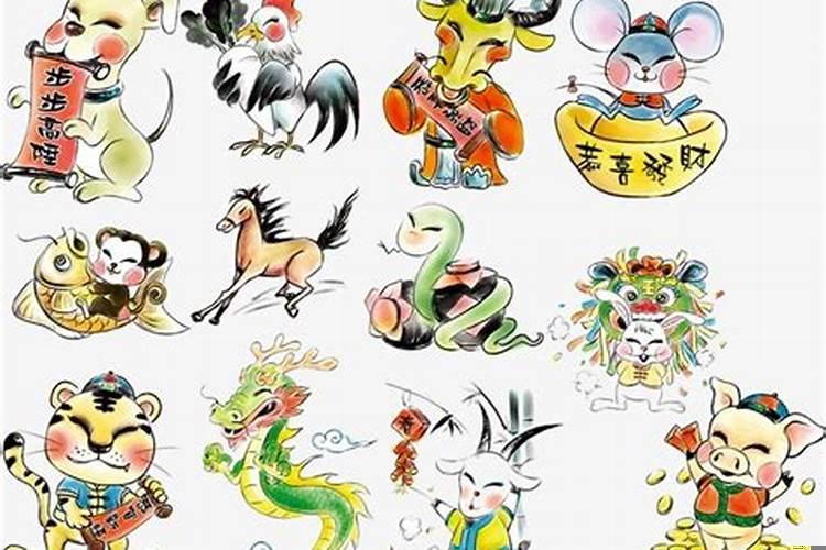 十二生肖女谁最傻