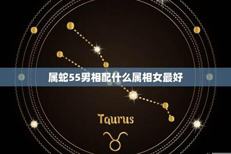 属蛇女生和什么属相的最适合婚配