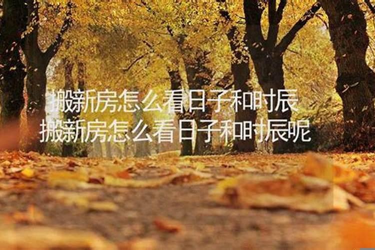 怎么看吉日和时辰吉凶看法