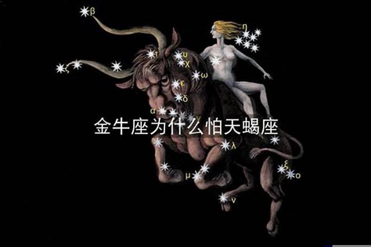 金牛座男生扣嘛