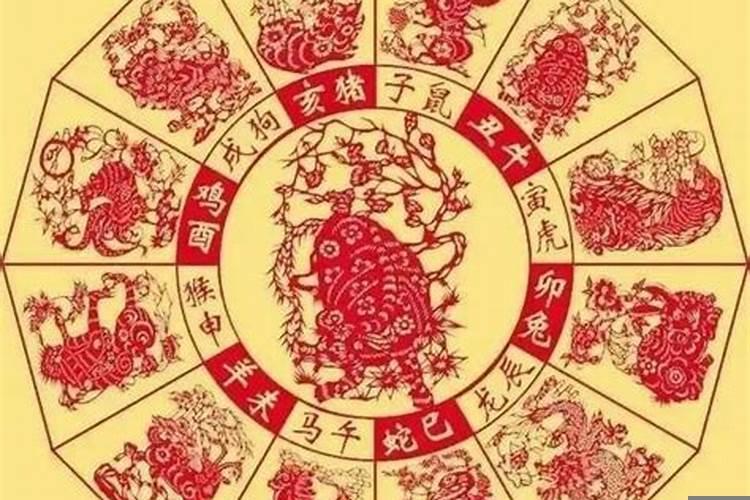 属兔的人2022年运程