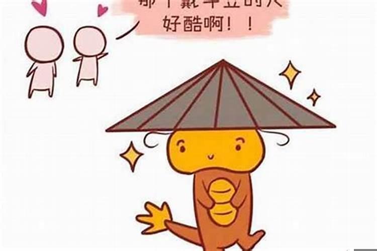 女属马和男属龙相配吗在一起适合吗