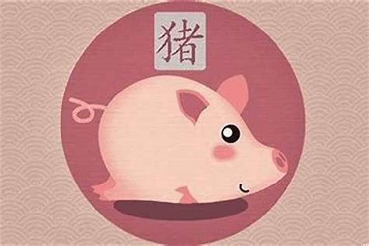 属猪的人有什么特点和性格