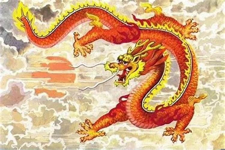 一家四口三个属龙的好不好