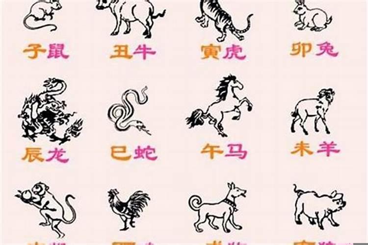 十二生肖最忠心的动物是什么啊